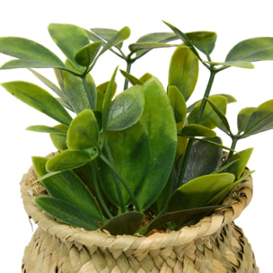 Plante artificielle en pot Jil 10x10cm