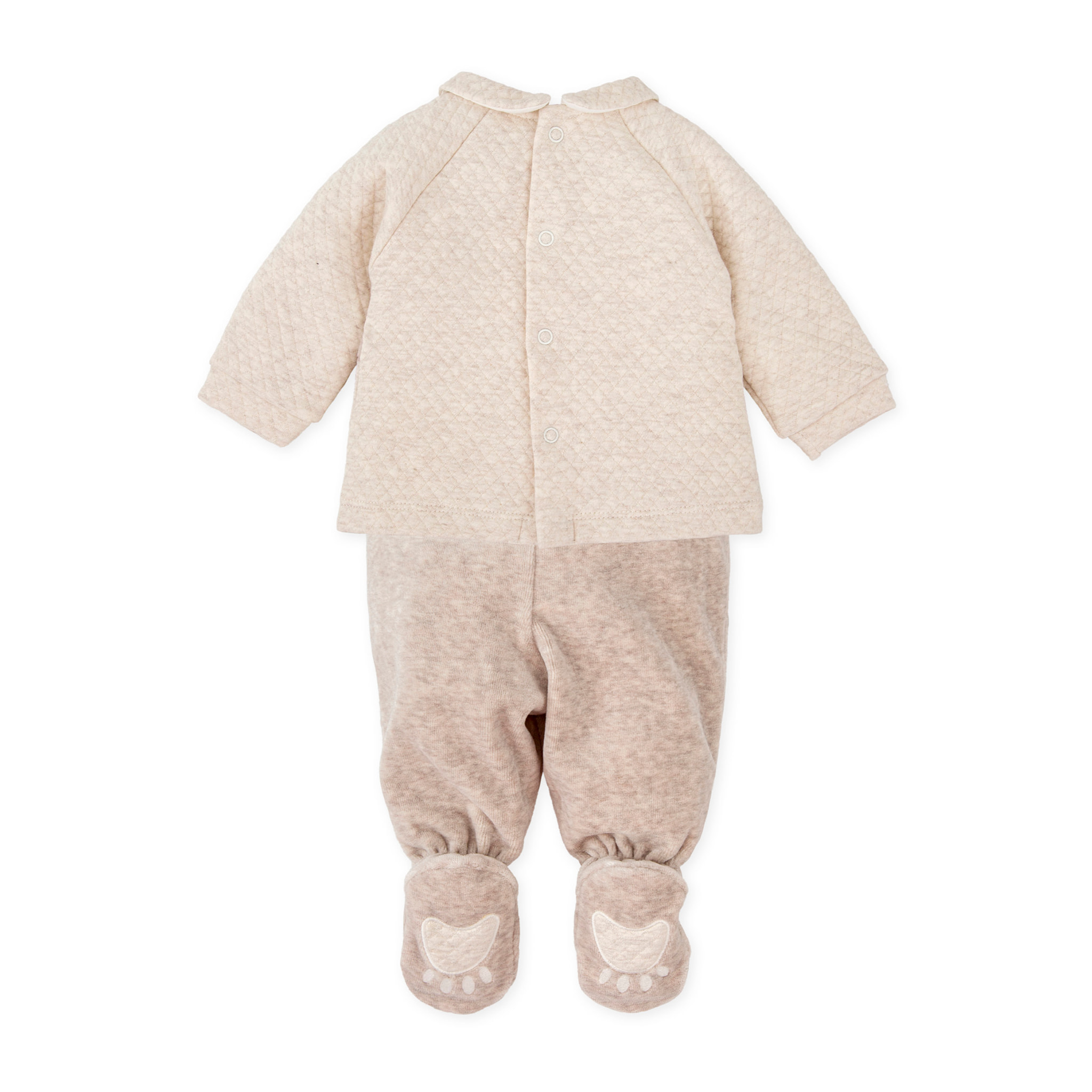 JESUSITO TOPO - Topo