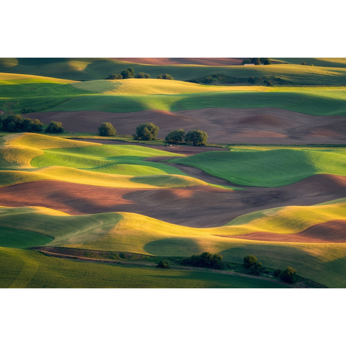 Tableau Colline colorée Tableau plexiglas