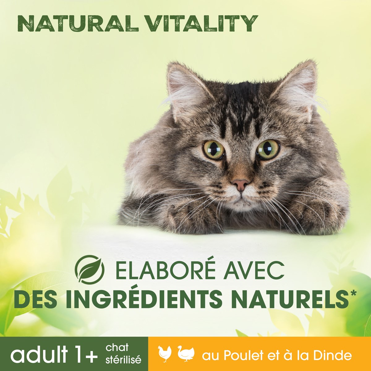 PERFECT FIT Natural Vitality Croquettes au Poulet et à la Dinde pour chat adulte (3x1kg)