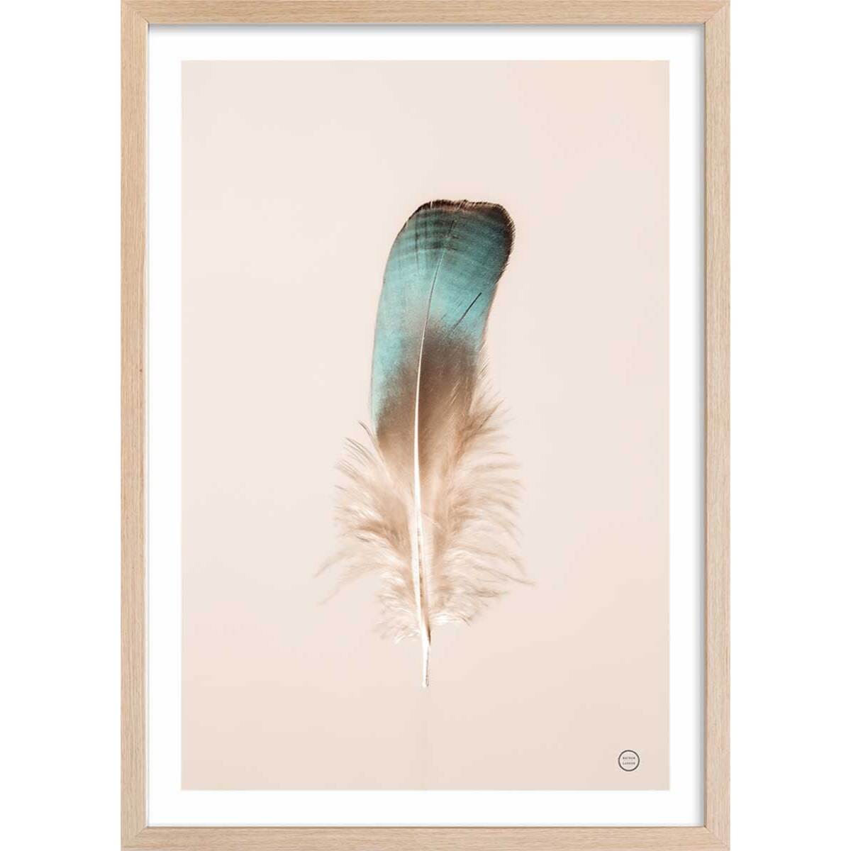 Affiche enfant plume bleue  Affiche + cadre en bois - Chêne