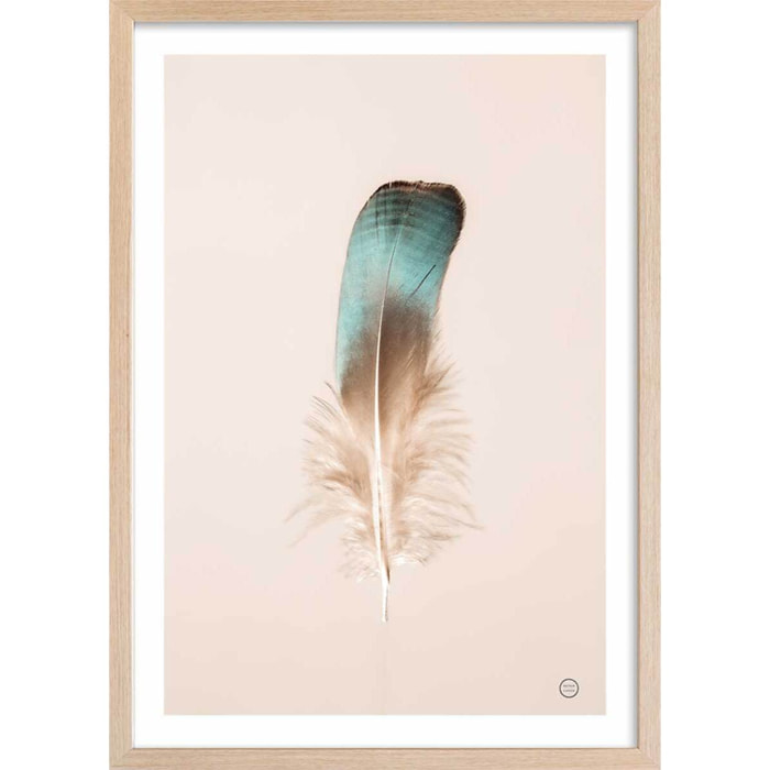 Affiche enfant plume bleue  Affiche + cadre en bois - Chêne