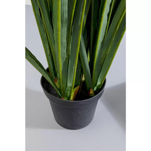 Plante décorative Rhynchostylis 150cm Kare Design