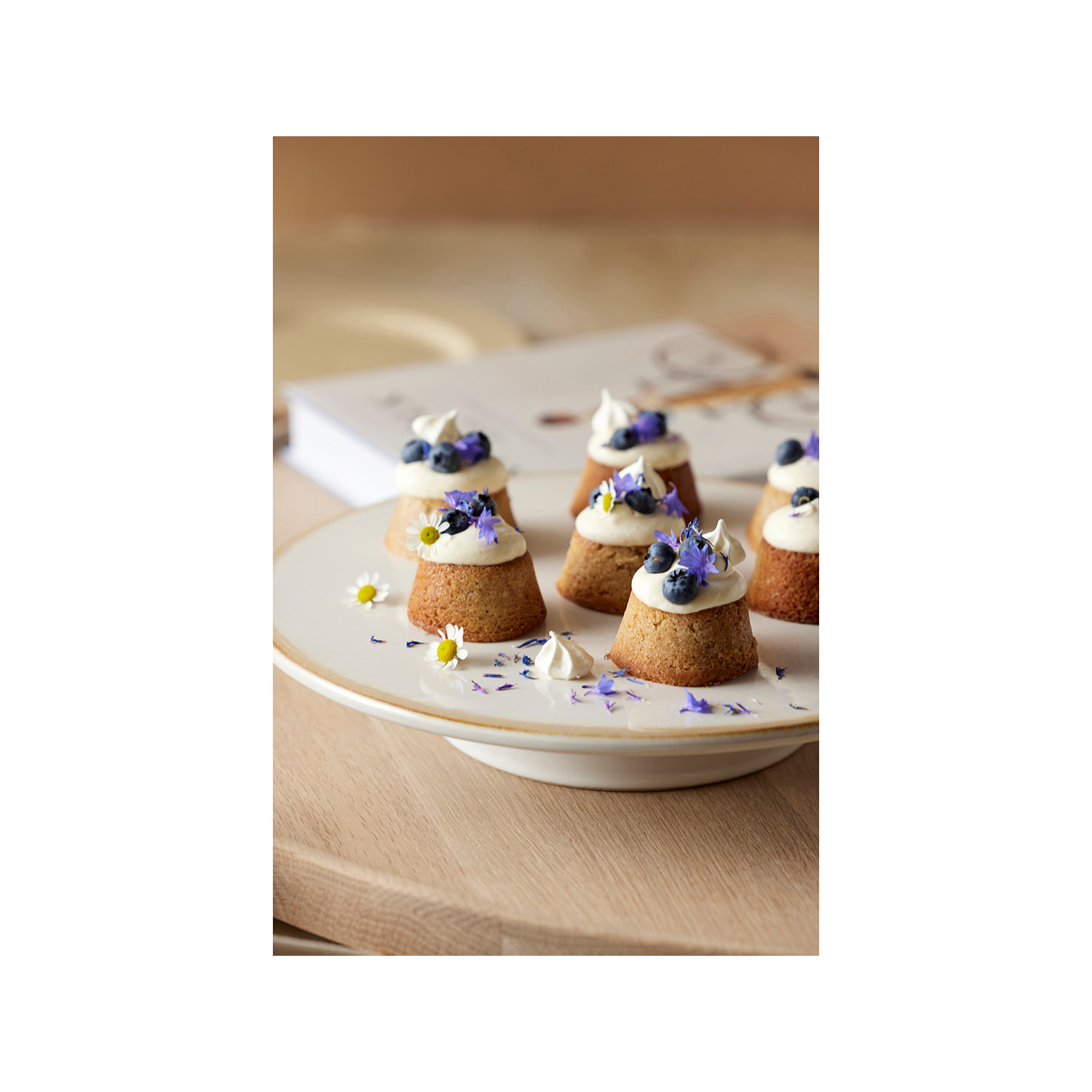 Présentoir gâteaux Gastro