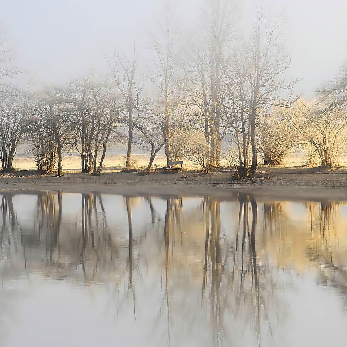 Papier peint panoramique lac au petit matin Intissé