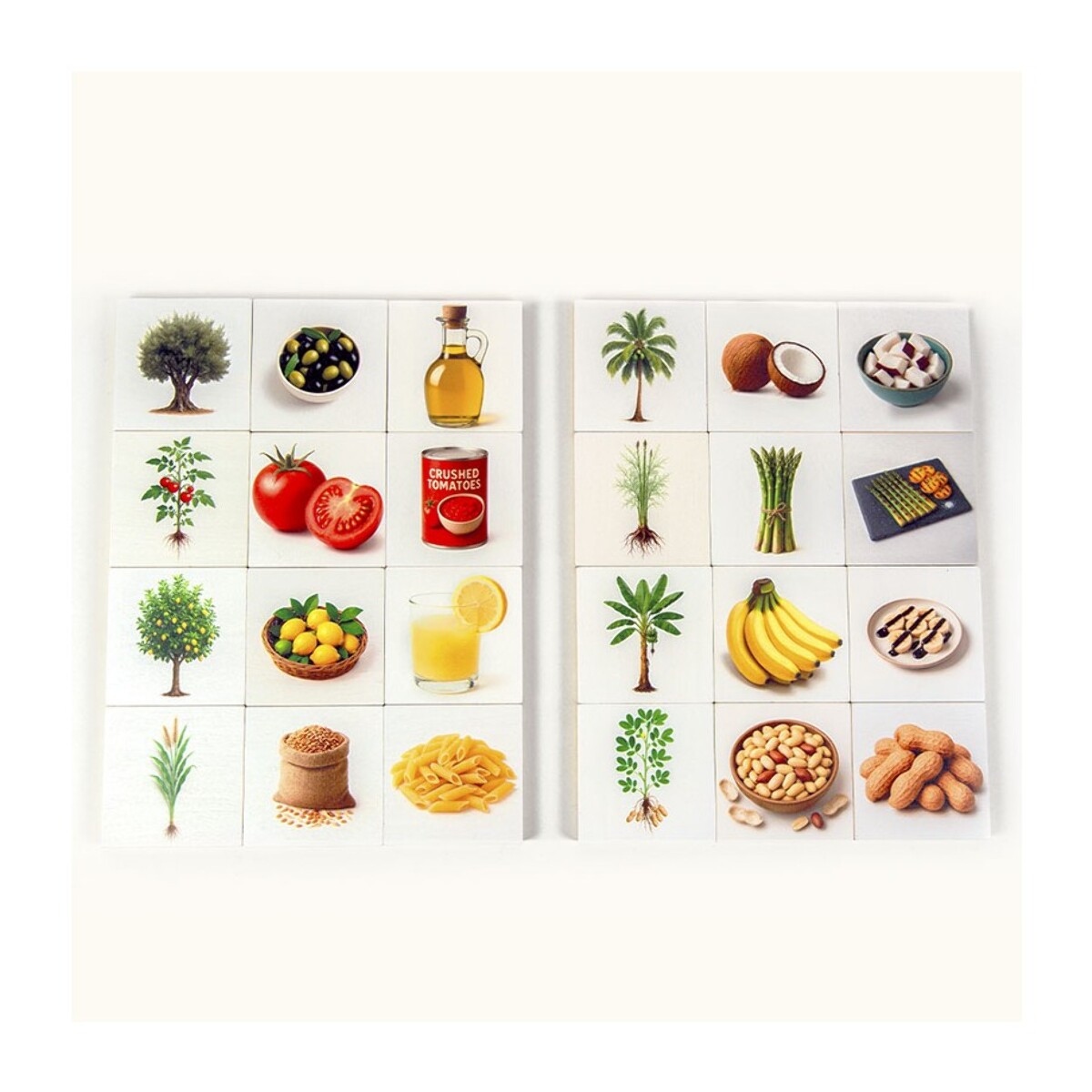 VEGETABLES FOOD ORIGIN
