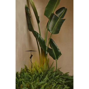 CLAP Projecteur fixation arbre noir 6W 3000K 38º