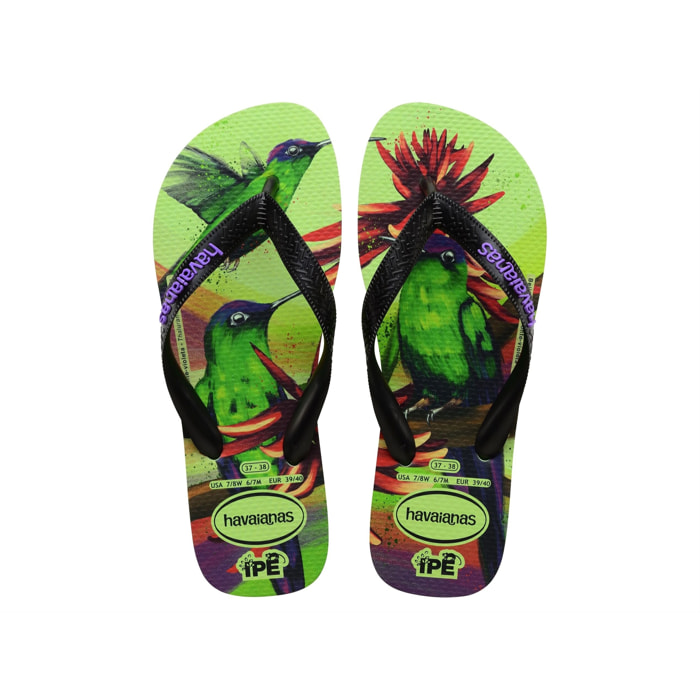 Infradito Havaianas Havaianas IPE Verde