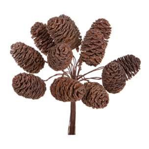 Pick mini pigne cedar - Pezzi 24 - 5xH12x1cm - Bianchi Dino SpA