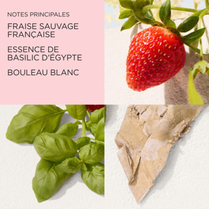 Green Tea Strawberry Basil - Eau de Toilette 50ml