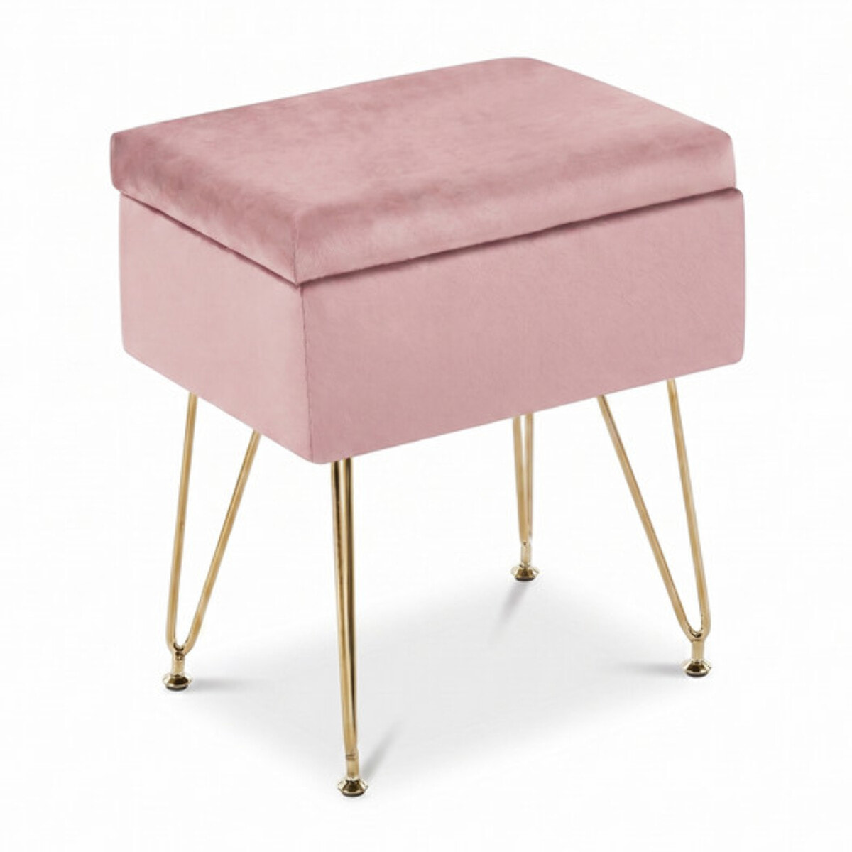 Panca Contenitore in Effetto Velluto con Seduta Imbottita e Vano Portaoggetti, Design Moderno con Gambe in Acciaio per Ingresso, Camera da Letto e Soggiorno