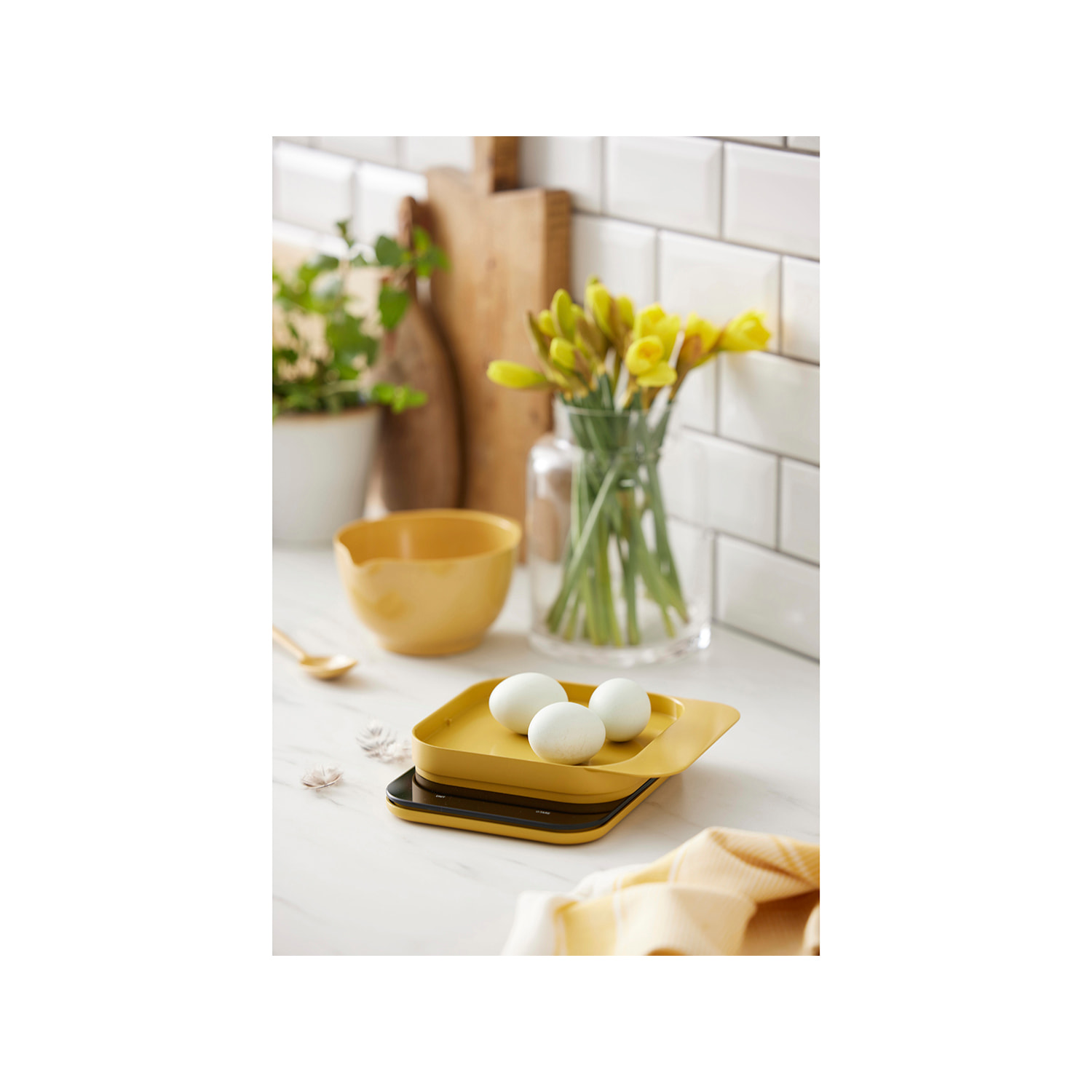 Balance de cuisine Mensura