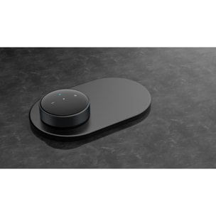 Lecteur réseau HiFi WIIM Mini