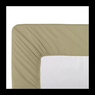 Drap housse b30 percale de coton uni beige La percale francaise champagne