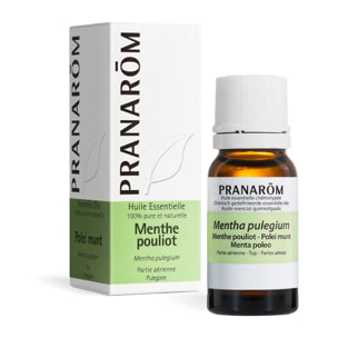 Pranarom - Huile Essentielle de Menthe pouliot - 10 ml