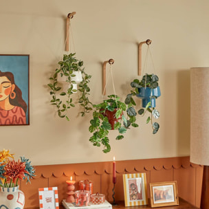 Plante suspendue Homy H.80cm