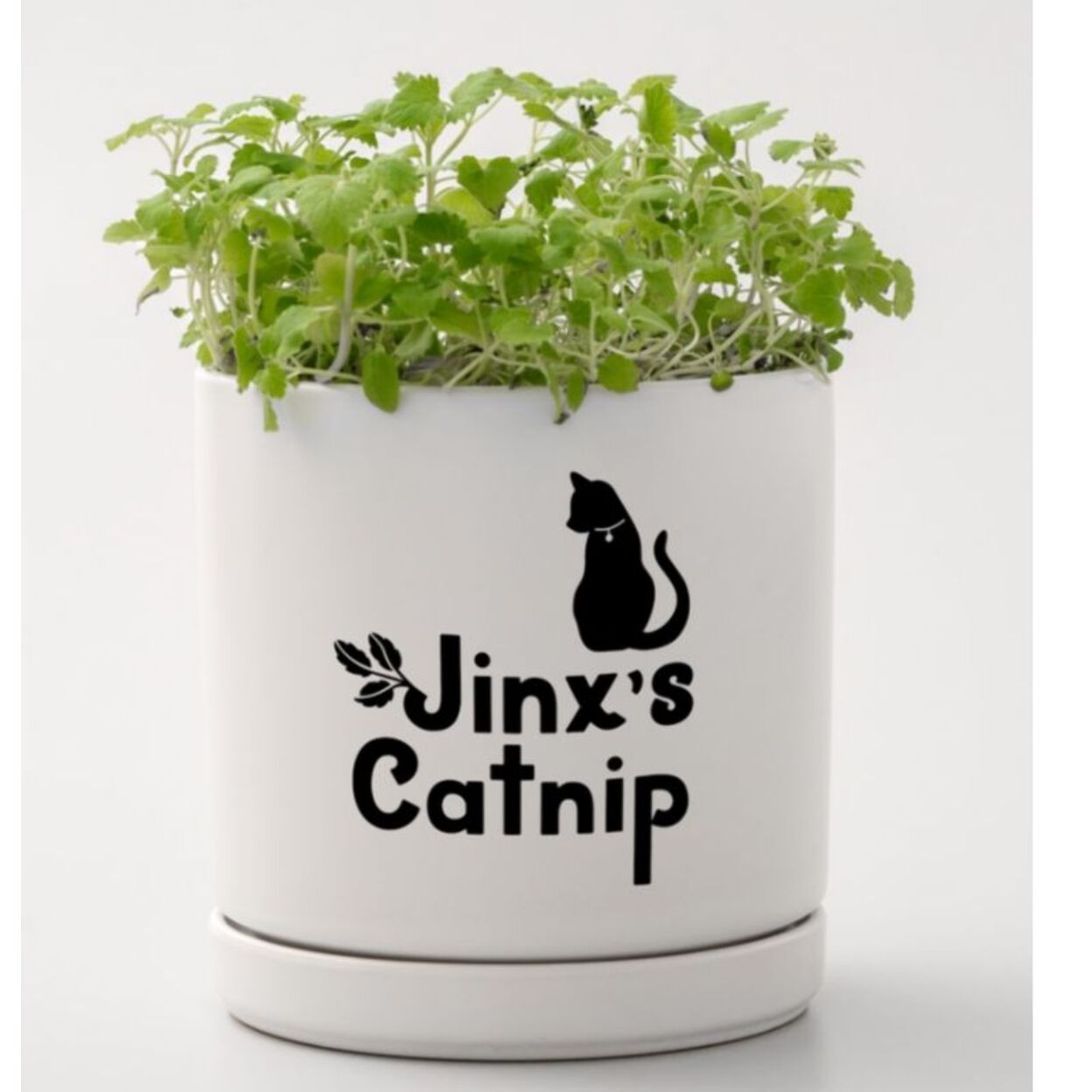 Accessoire CRICUT Smart Vinyl Removable Joy 14x122cm