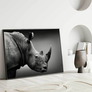 Affiche encadrée rhinocéros en noir et blanc Affiche + cadre en métal - Noir