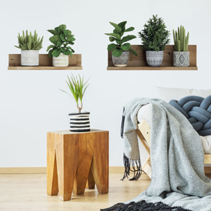 Stickers muraux 3D | Sticker Mural Autocollant effet PLANTES VERTES SUR ÉTAGÈRES - Stickers adhésifs 3D Chambre Salon Trompe l'oeil