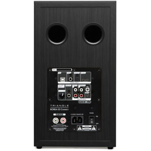 Enceinte bibliothèque active TRIANGLE BR03 Connect Noir