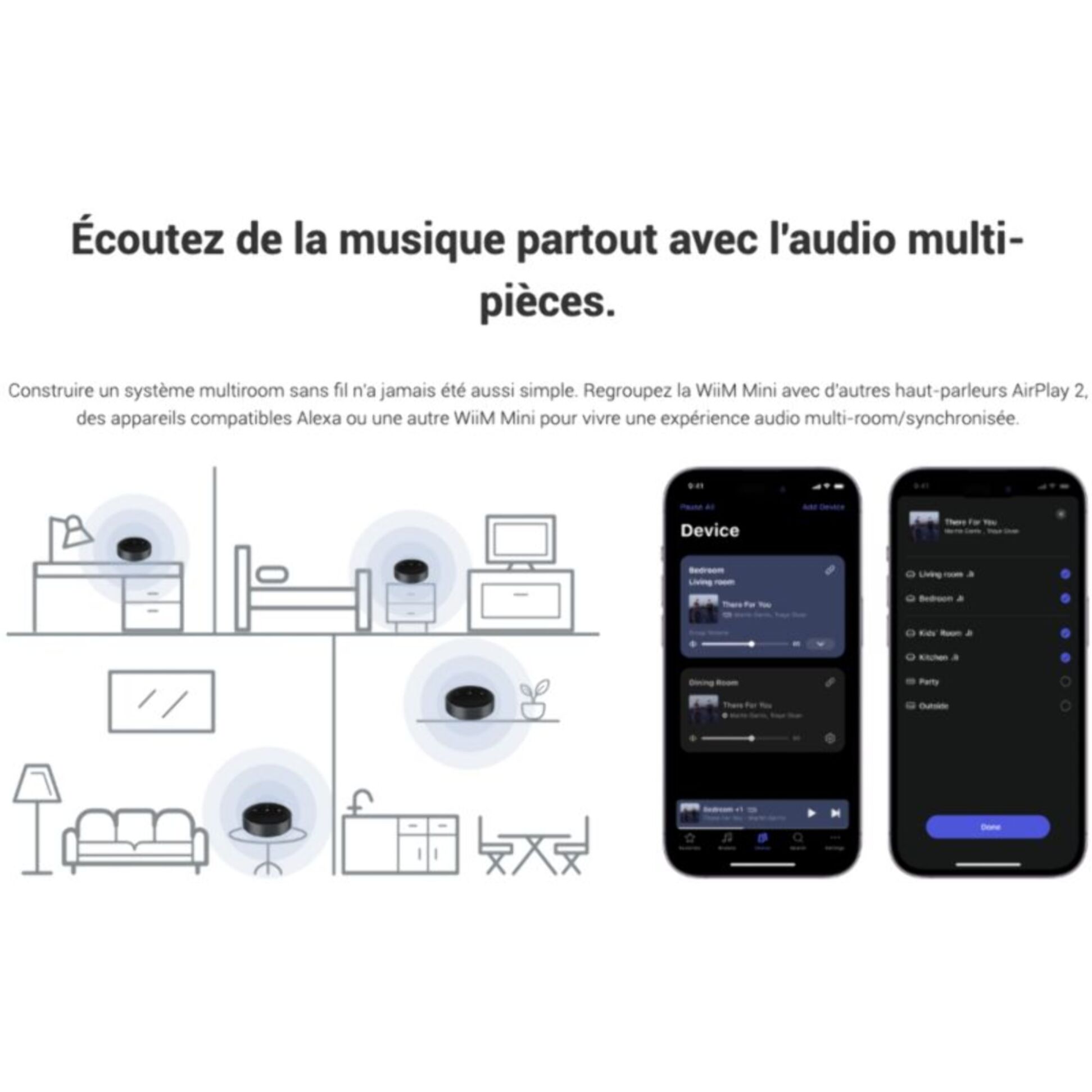 Lecteur réseau HiFi WIIM Mini