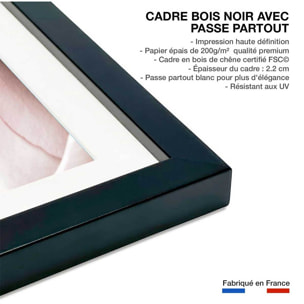 Affiche  rosa romantica Affiche sous cadre noir