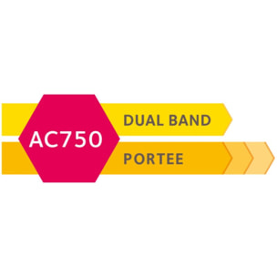 Répéteur Wifi NETGEAR EX3800 WIFI AC750 Dual Band avec prise
