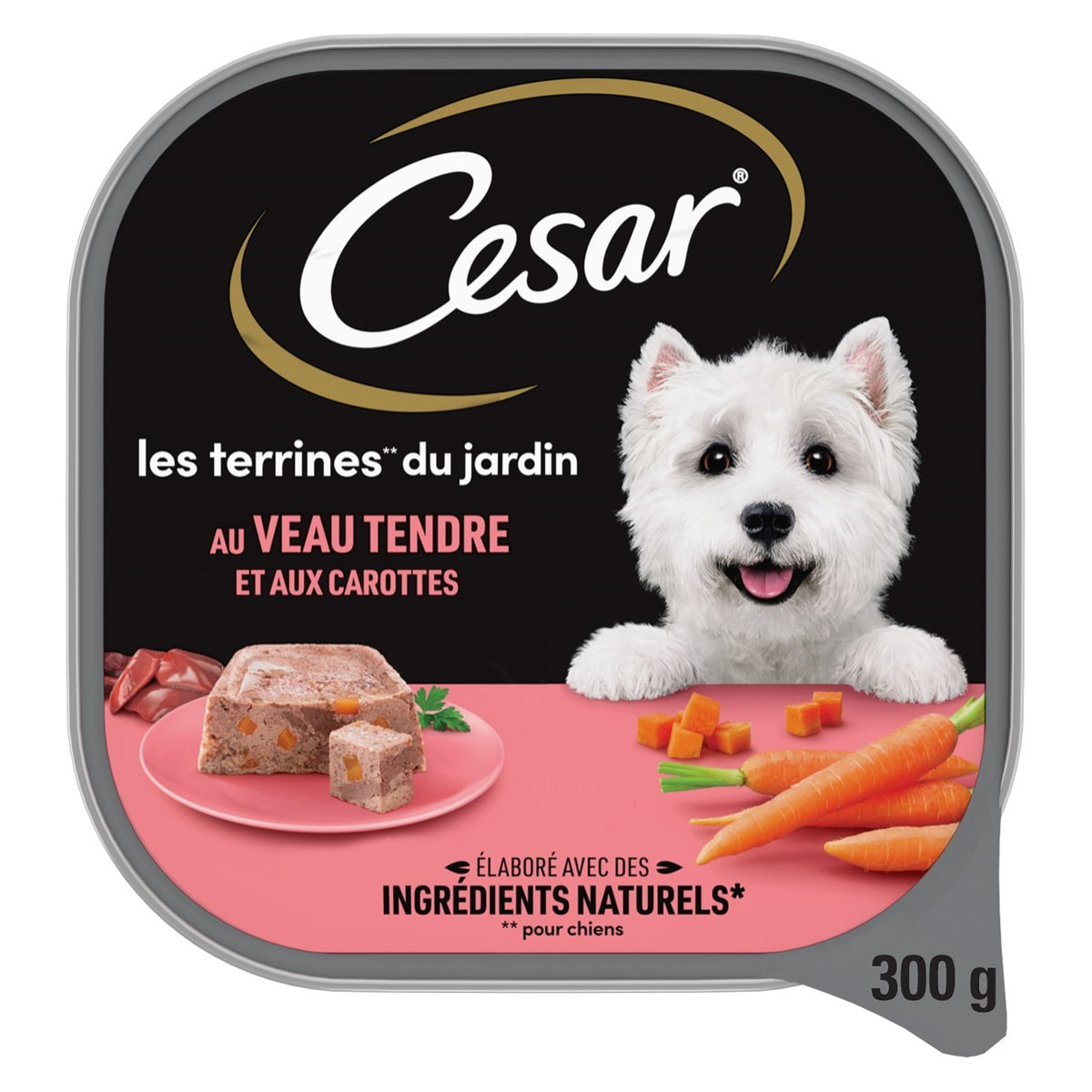 CESAR Barquettes au veau tendre et aux carottes en terrine pour chien 20x300g