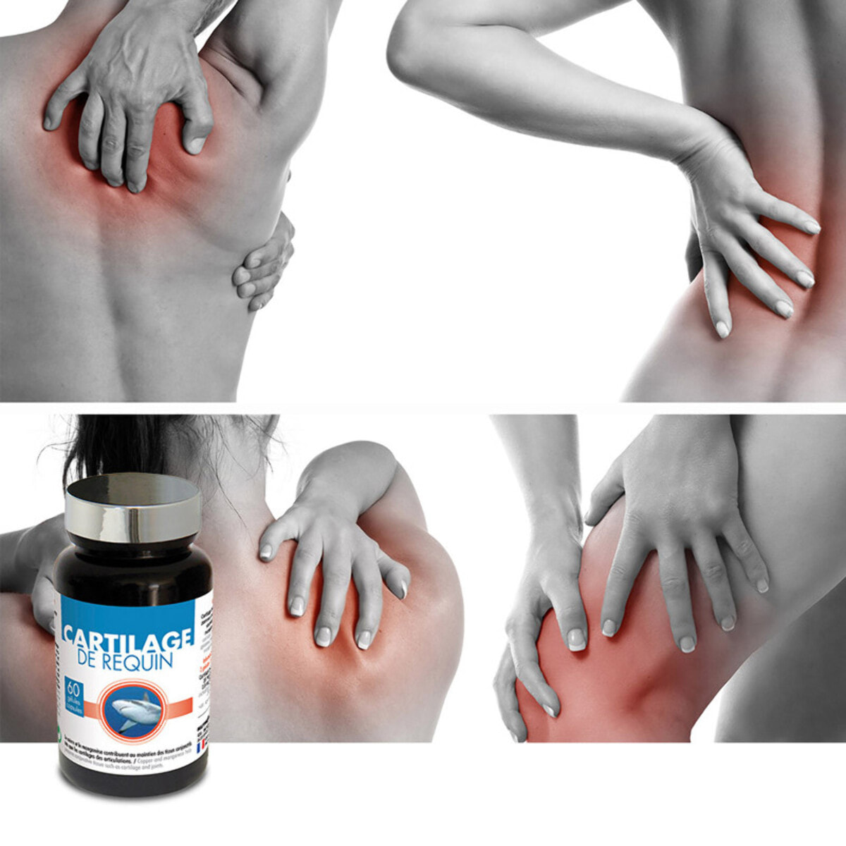 NUTRI EXPERT - Cartilage de requin - Renforce les cartilages et les tendons - Préserve la santé des articulations - Chondroïtine + Cuivre + Manganèse - Lot de 2 x 60 gélules végétales