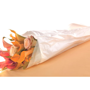 Bob. Carta Velina Rest.Acqua 80Cm 20Mt - Pezzi 3 - 5X20X5cm - Colore: Arancio - Bianchi Dino - Decorazioni Varie