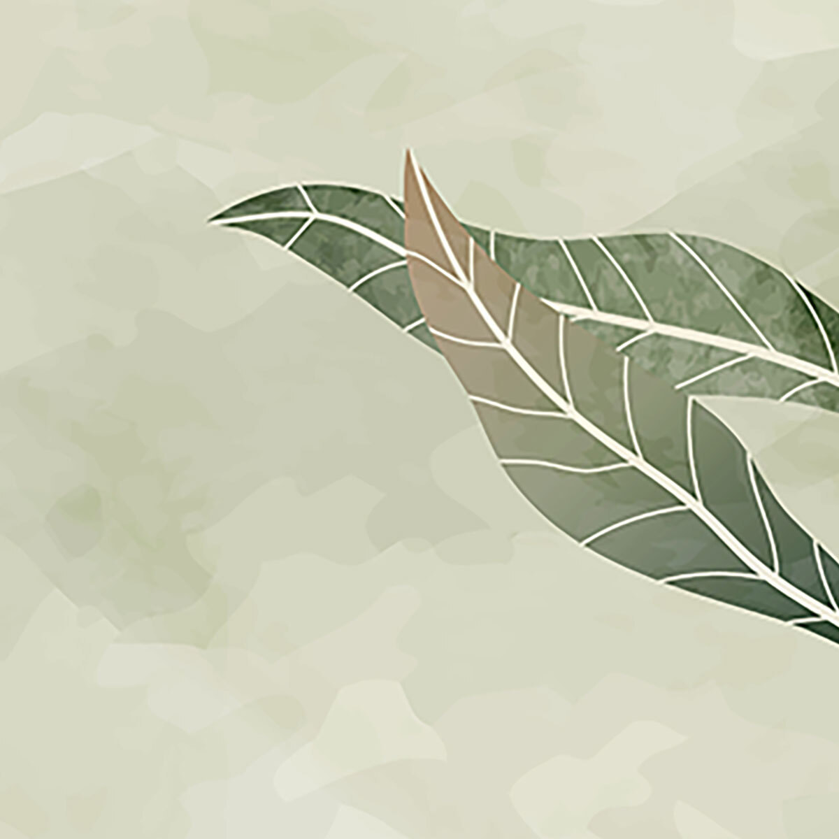 Papier peint panoramique Brume d’eucalyptus  Intissé