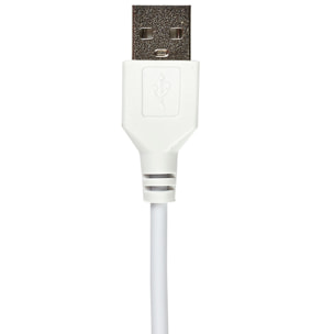 Lampe Led Ovale Sur Pied 120cm