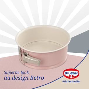 Moule à manqué à charnière Dr.Oetker Rétro