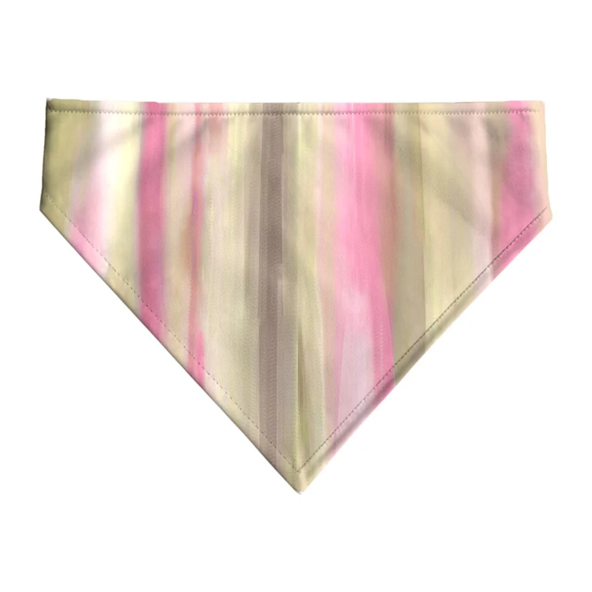 Pack de 2 bandanas pour animaux Exeter VeRT