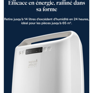 Deshumidificateur DELONGHI DEXD214RF Blanc