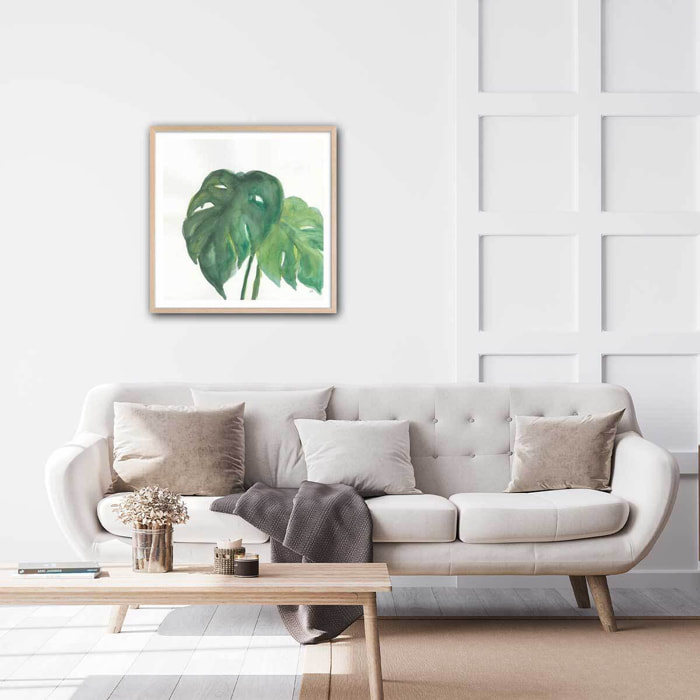 Affiche Plante monstera watercolor Affiche + cadre en bois - Chêne
