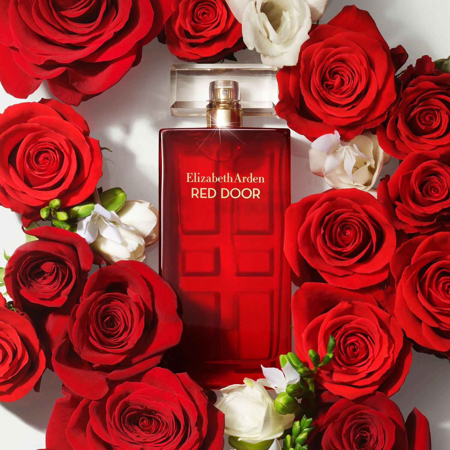 Red Door  - Eau de Toilette