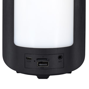 Enceinte Portable Led Sans Fil 27.5cm