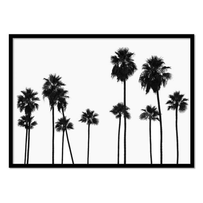 Affiche - Palm Trees LA - Philippe Hugonnard