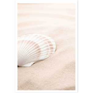 Poster coquillage Affiche seule