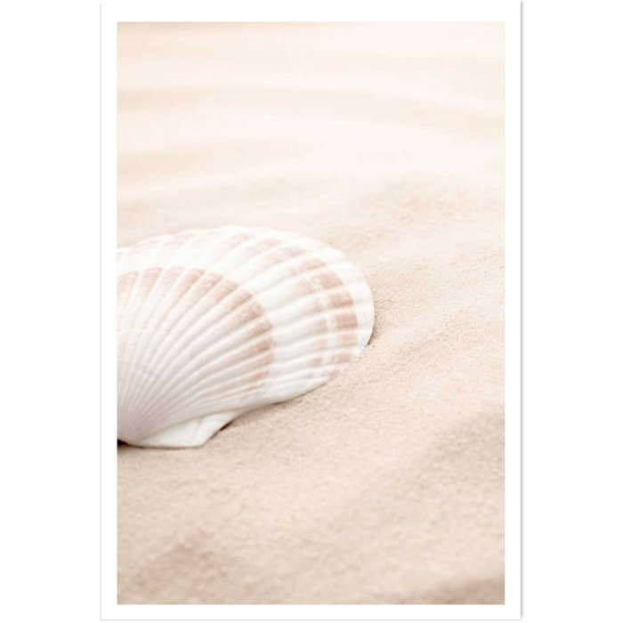 Poster coquillage Affiche seule