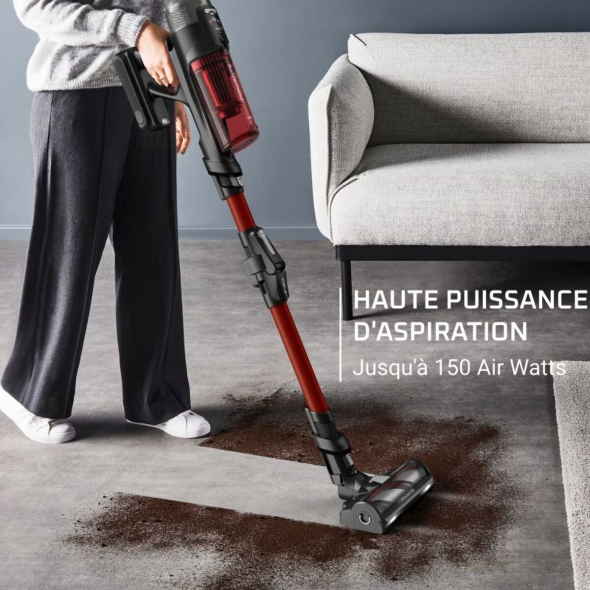 Aspirateur balai ROWENTA X Force Flex 13.60 animal RH9A73WO