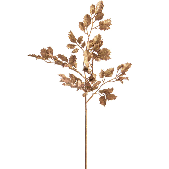 Agrifoglio - Pezzi 6 - 27xH94x14cm - Bianchi Dino SpA