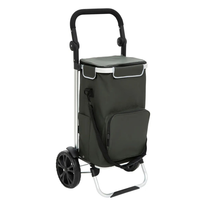 Chariot de course 2 roues vert