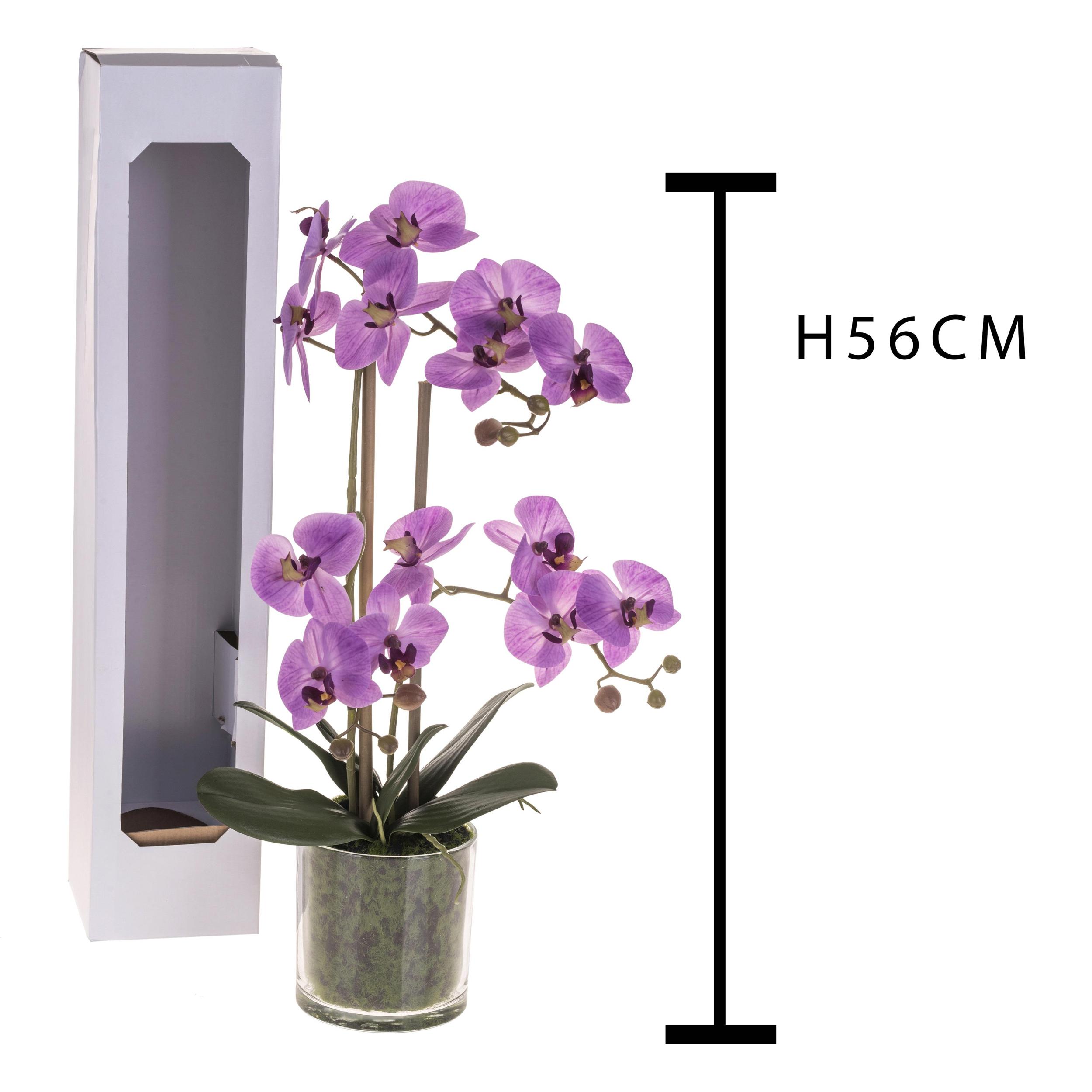 Pianta Di Phalaenopsis Con Vaso. Altezza 56 Cm - Pezzi 1 - 30X56X30cm - Colore: Rosa - Bianchi Dino - Piante Artificiali