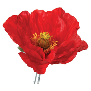 Tige de coquelicot artificiel rouge 70cm