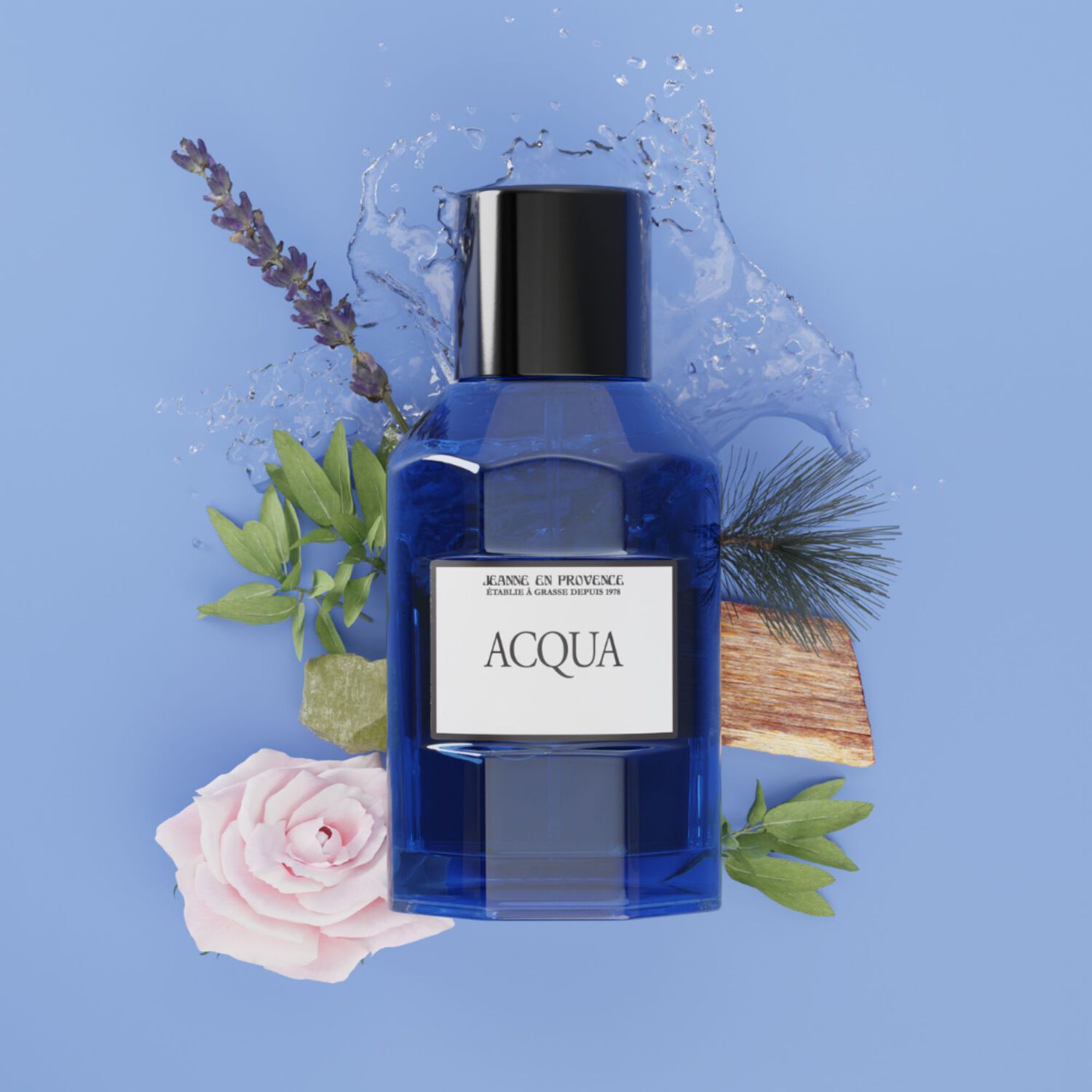 Acqua - Eau de Toillette 100 ml