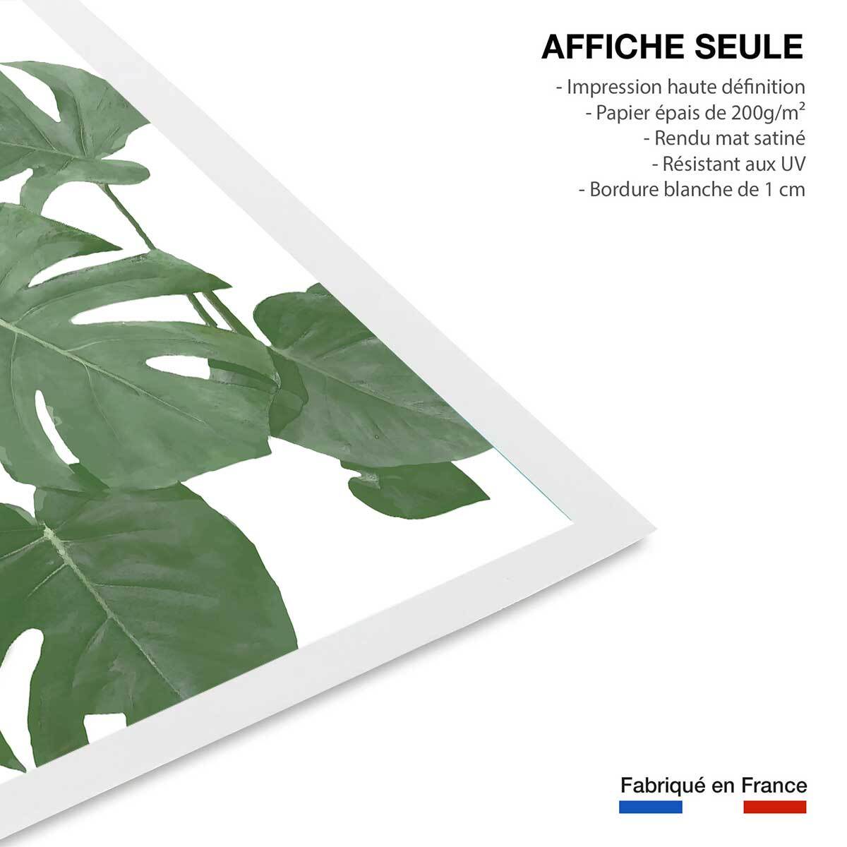 Affiche Feuilles de Monstera Affiche seule