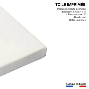 Tableau just do nothing club Toile imprimée