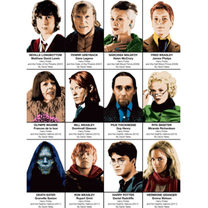 Affiche - Harry Potter Characters - Olivier Bourdereau
